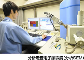 分析走査電子顕微鏡（分析SEM）